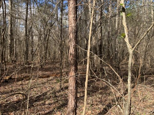 0 Old Toone Rd, Medon, TN, 38356 | Card Image