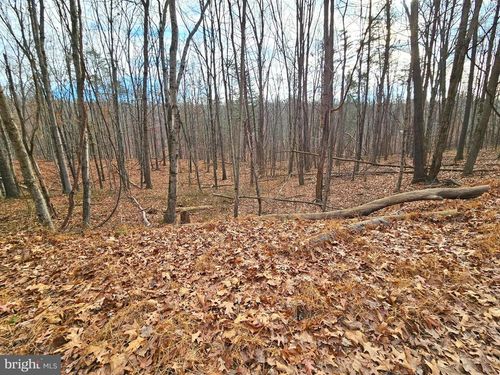 Lot 35 Oak Hill Rd, Berkeley Springs, WV, 25411-5528 | Card Image