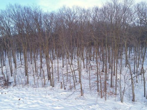 158AC 110th St, Frederic, WI, 54837 | Card Image