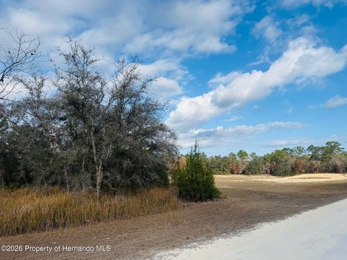 0 Ruffed Grouse Rd, BROOKSVILLE, FL, 34614 | Card Image