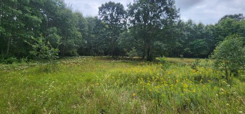 Parcel C River Road, Brown Township, MI, 49660 | Card Image
