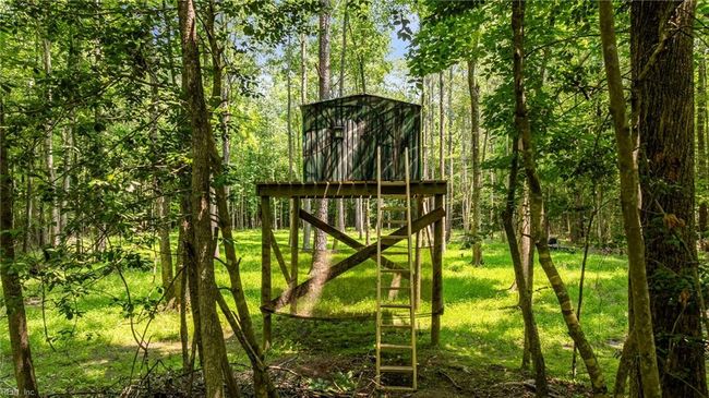 Raised hunting blind | Image 18