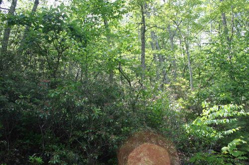 42 High Valley Dr S, MONTEREY, VA, 24465 | Card Image