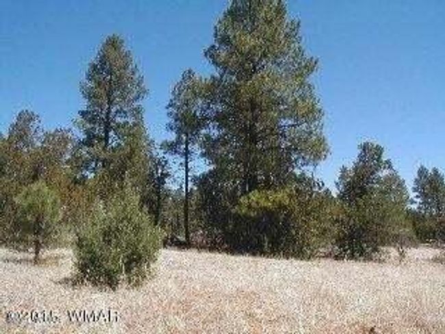 WT Way4 | Image 4