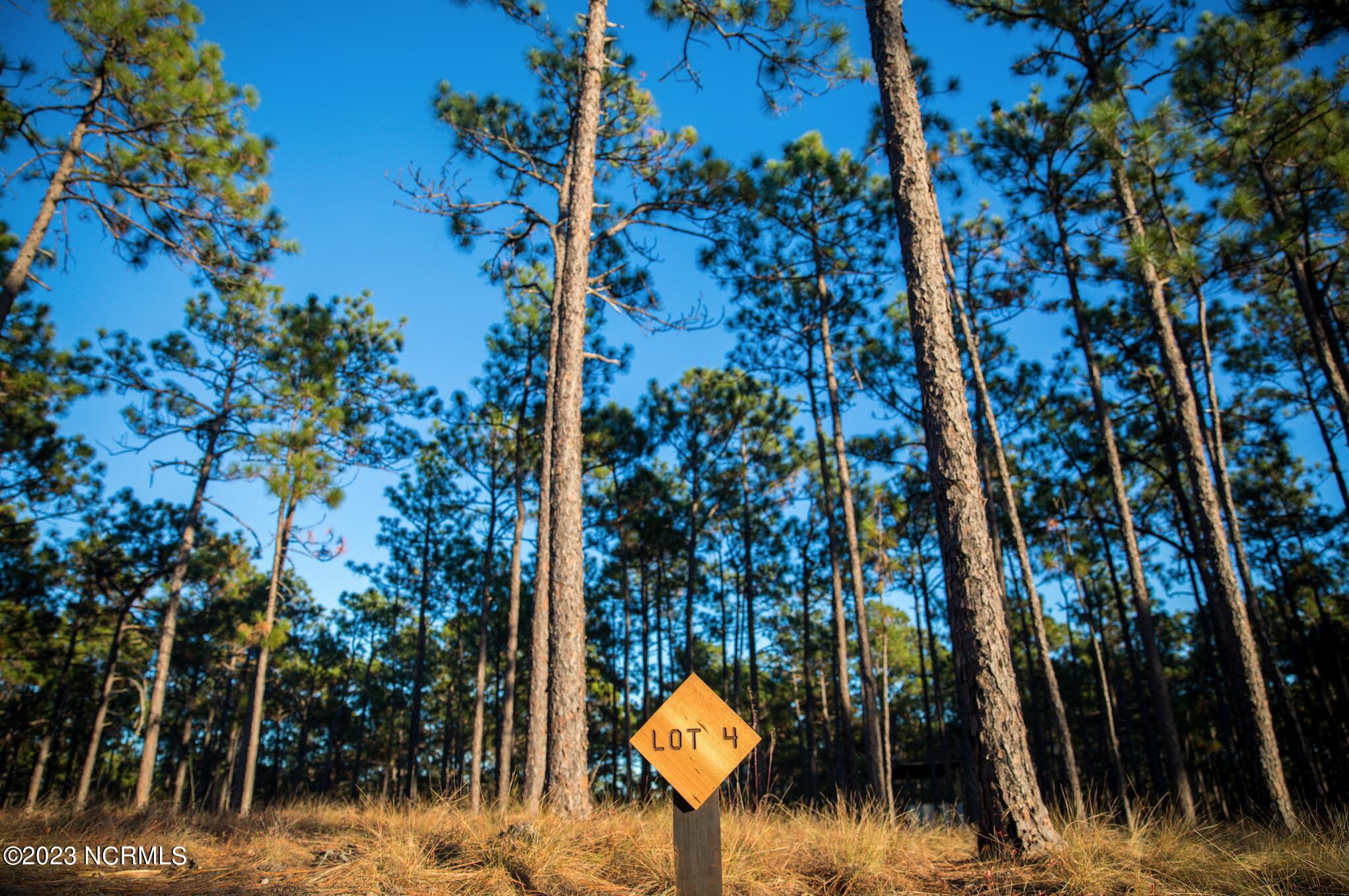 Land in Southern Pines 2