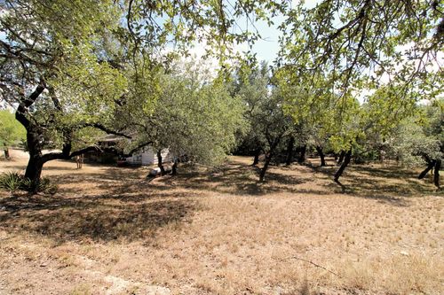 17201 Oak Cliff Cir, Dripping Springs, TX, 78620-2506 | Card Image