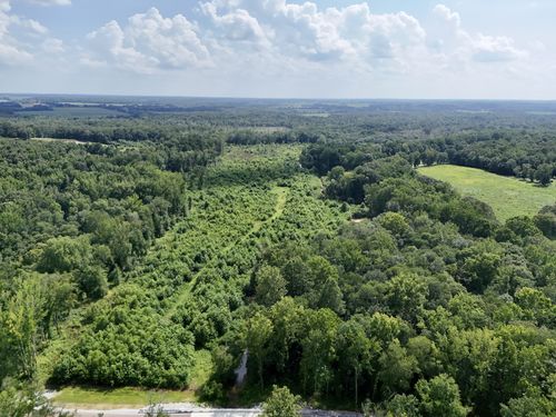 0 Goldston Springs Rd, Puryear, TN, 38251 | Card Image