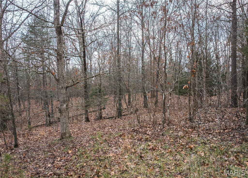 Land in Raymondville 3