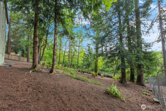 Backyard | Image 38