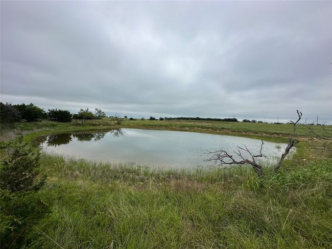 854 County Road 131, Home with 0 bedrooms, 0 bathrooms and null parking in Gatesville TX | Image 36