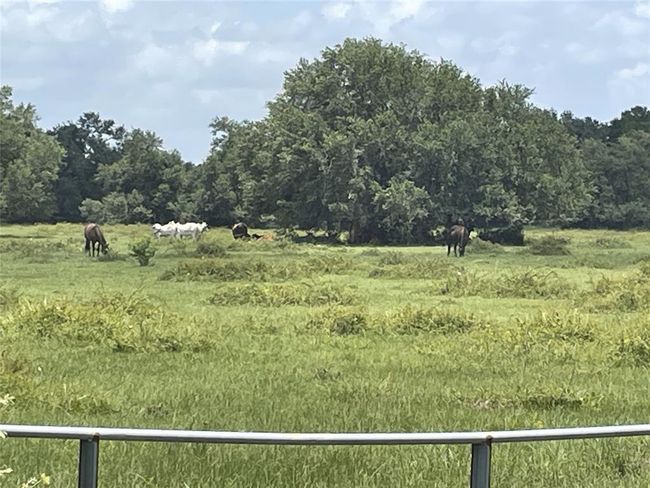 0 Davis Bend Rd, Home with 0 bedrooms, 0 bathrooms and null parking in Alvin TX | Image 10
