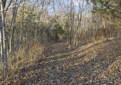 893 Hidden Springs Ln, Reeds Spring, MO, 65737-8200 | Card Image