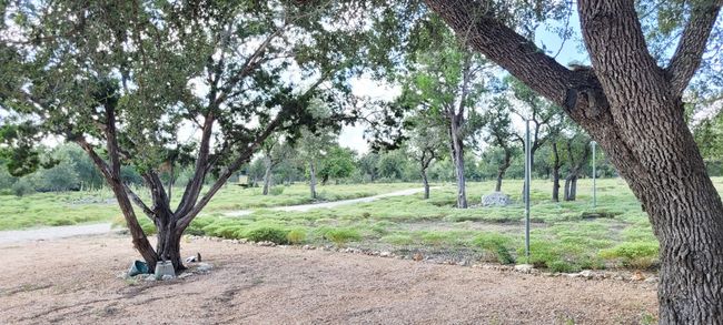 Another view of the front 5 acres from the driveway. | Image 6