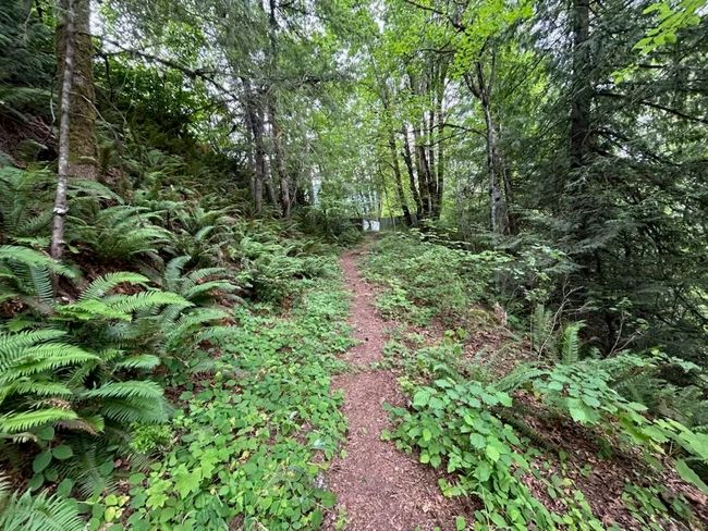 Lot 6 Trans Canada Highway, Home with 0 bedrooms, 0 bathrooms and null parking in Yale BC | Image 8