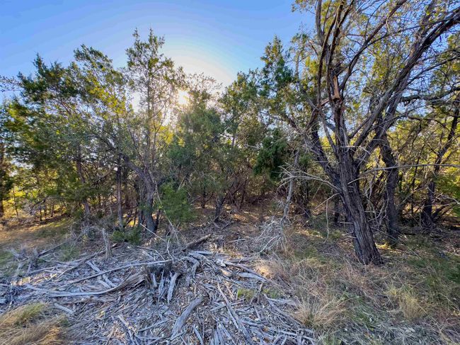 Lot 44 Mountain Laurel Lane, Home with 0 bedrooms, 0 bathrooms and null parking in Spicewood TX | Image 19