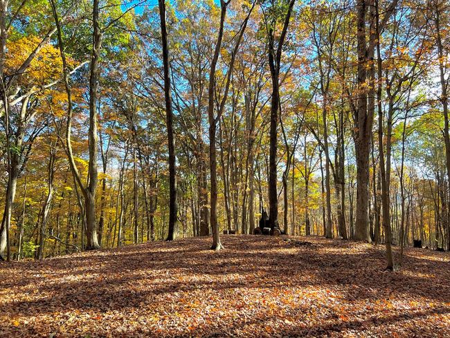 213 S Benner Hill Rd, Home with 3 bedrooms, 1 bathrooms and 1 parking in Bainbridge OH | Image 64