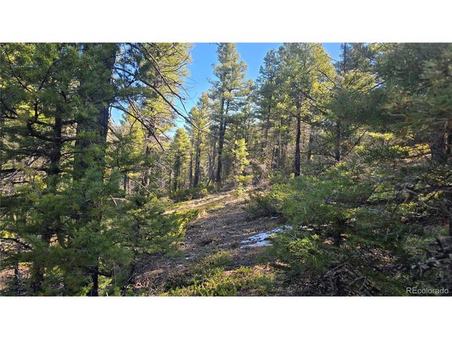 6034 Wood Rd, Home with 0 bedrooms, 0 bathrooms and null parking in San Luis CO | Image 7