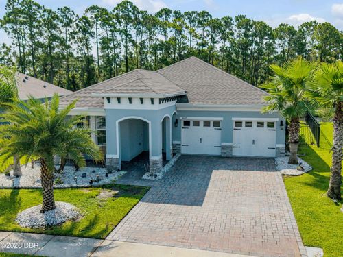 3027 Borassus Dr, NEW SMYRNA BEACH, FL, 32168-6374 | Card Image