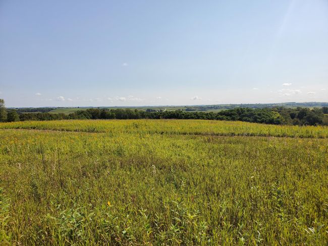 TBD 110 Th St Se, Home with 0 bedrooms, 0 bathrooms and null parking in Chatfield MN | Image 14