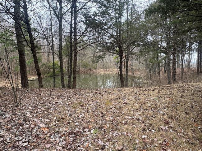 302 Ar 123 Y Hwy, House other with 3 bedrooms, 3 bathrooms and null parking in Pelsor AR | Image 31