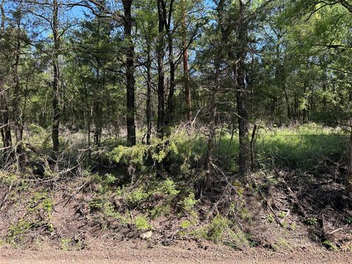 Tract 14 County Road 2951, Honey Grove, TX, 75446 | Card Image