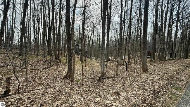 Lot 60 Val Disere, Home with 0 bedrooms, 0 bathrooms and null parking in Bellaire MI | Image 8