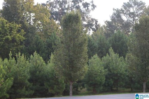 35-252 Parkview Dr, Sylvan Springs, AL, 35118-9717 | Card Image