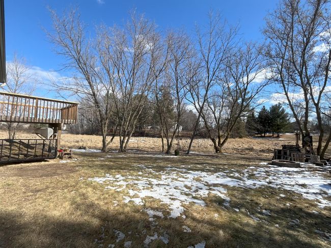 Backyard | Image 17
