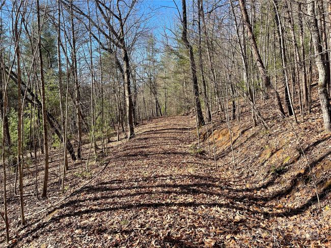 0000 Pine Log Rd, Home with 0 bedrooms, 0 bathrooms and null parking in Warne NC | Image 31