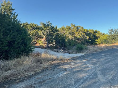 113 Champion Way, Spring Branch, TX, 78070-3725 | Card Image