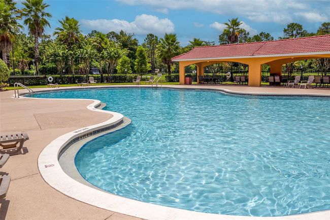 Community Pool | Image 61