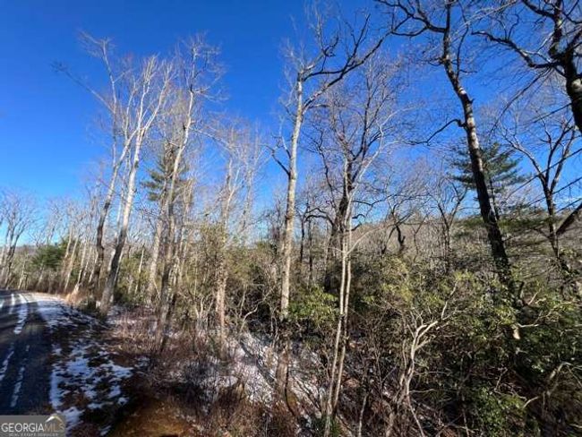 10 - LOT 10 Kennedys Ct, Home with 0 bedrooms, 0 bathrooms and null parking in Blairsville GA | Image 9
