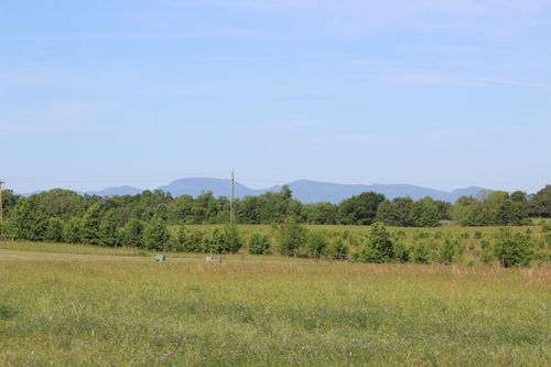 Lot 3 Ted Smith Rd, Rutherfordton, NC, 28139 | Card Image