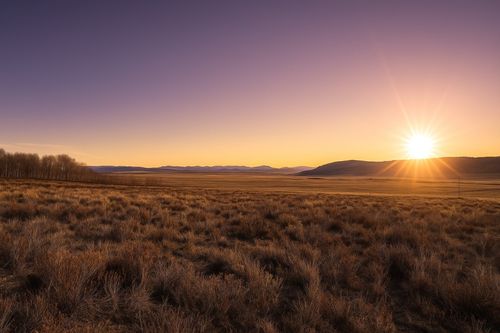 223 Breakneck Pass Rd, Fairplay, CO, 80440 | Card Image