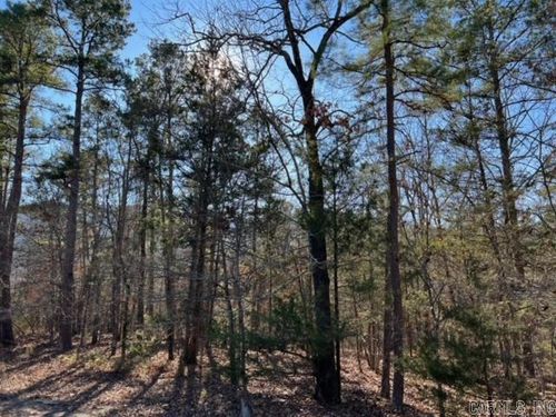 lot 52 Primrose Creek, Heber Springs, AR, 72543 | Card Image