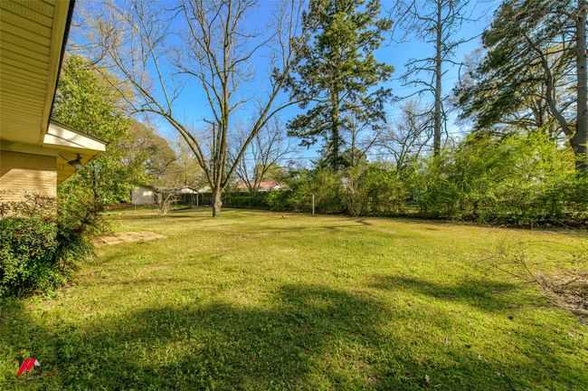 View of yard | Image 29