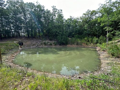 10152 Spool Ln, Potosi, MO, 63664 | Card Image