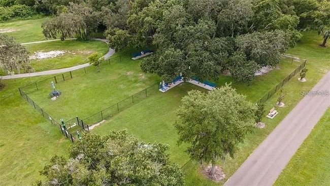 Dog Park | Image 54