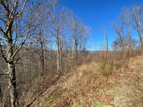 Lot 42 Silo View, Marble, NC, 28905 | Card Image