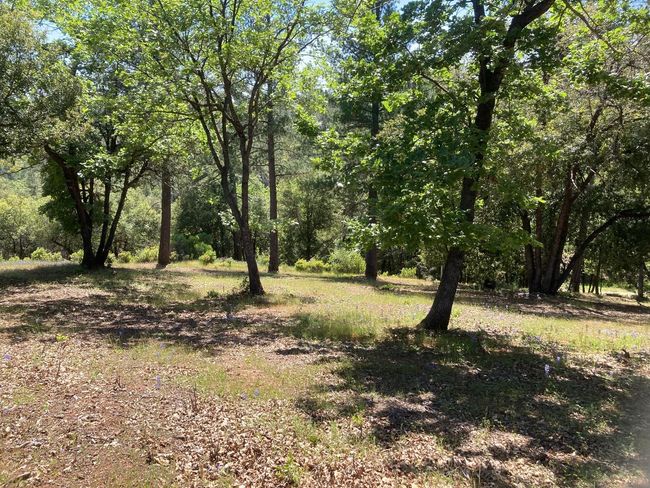 16688 Sonshine Ln, Home with 0 bedrooms, 0 bathrooms and null parking in Sutter Creek CA | Image 50