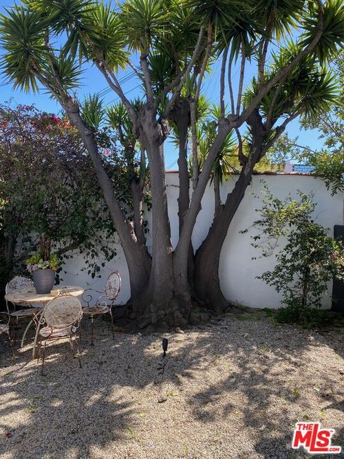 a-1053 S Alfred St, LOS ANGELES, CA, 90035-2501 | Card Image