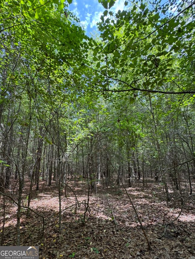 0 Tobias Rd, Home with 0 bedrooms, 0 bathrooms and null parking in Sardis GA | Image 10