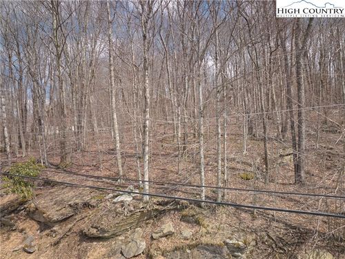 217 Overbrook Trl, Beech Mountain, NC, 28604-8145 | Card Image