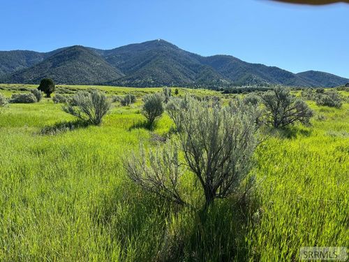 L16B4 Sumac Loop, Swan Valley, ID, 83449 | Card Image