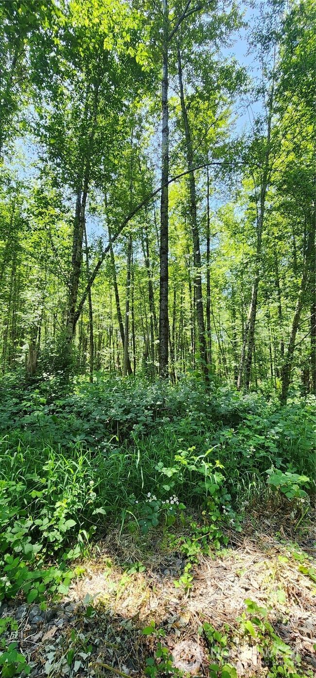 1230 Silverbrook Rd, Home with 0 bedrooms, 0 bathrooms and null parking in Randle WA | Image 23