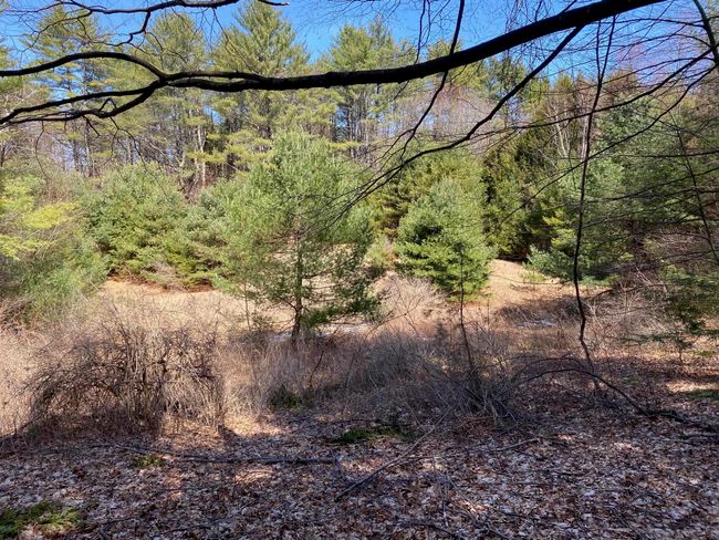 1254 Route 5, House other with 8 bedrooms, 1 bathrooms and null parking in Springfield VT | Image 58
