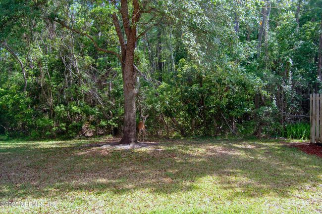 B - 1525 Vineland Cir, Townhouse with 3 bedrooms, 3 bathrooms and null parking in Fleming Island FL | Image 13