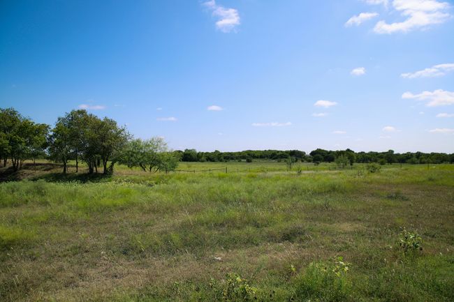 pasture for development | Image 14