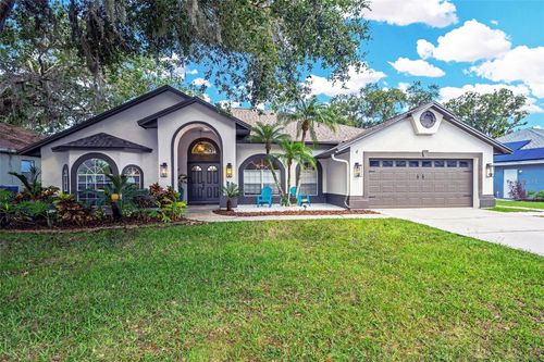 4617 Basswood St, LAND O LAKES, FL, 34639-5609 | Card Image