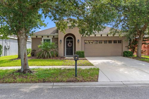 15913 Oakleaf Run Dr, LITHIA, FL, 33547-3983 | Card Image